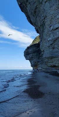 📍Bulbjerg, Denmark #denmark #cliffs #bulbjerg #travel