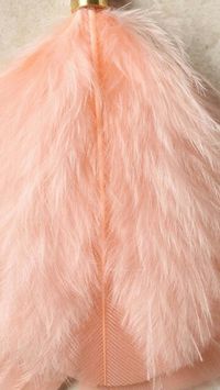 Pink | Pastel | Rosé | Salmon | Pinku | Rozovyy | Rosa | ピンク | розовый | Rosado | Color | Texture | Style |  Peach colored feather