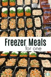 Freezer Meals for One - Freezer Meals 101