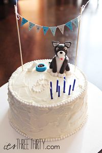 Puppy birthday cake perfect for a boy or a girl! itsthreethirty.com