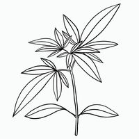 Simplicity cannabis plant freehand drawing flat design.