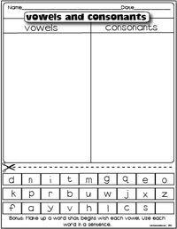 vowels and consonants freebie