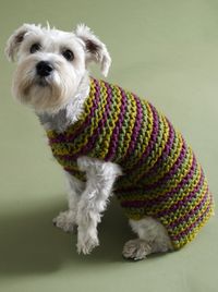 City Stripes #Knit Dog Sweater (free pattern!)