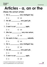 51 English Grammar Worksheets - Class 2 (instant