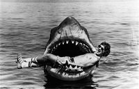 During the filming of JAWS, Steven Spielberg has a close encounter with his temperamental title character. Photo from the collection of the Academy's Margaret Herrick Library.