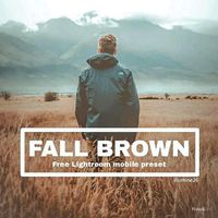 📣To download this preset for FREE navigate to my 'free Lightroom preset' board in my profile. #Lightroom #preset #free preset #Lightroom CC #Moodybrown #fall brown #adobe #moody