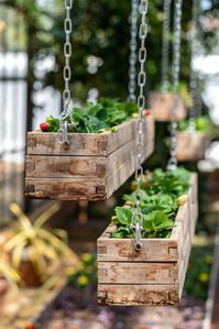 15 Innovative Strawberry Planting Ideas For Big Harvests In Tiny Spaces