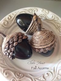 I saw this cute acorn idea floating around the internet and I wanted to make a few for my Fall decorating this year.  These are so easy to make, you wont believ…