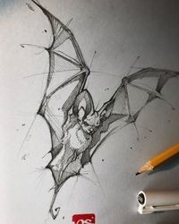 Bat. Fineliner Ink and Pencil Animal Drawings. Click the image, for more art by psdelux