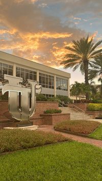 College/utampa/school/florida/palm trees/ sunset