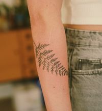 Illustrative style fern frond tattoo on the forearm