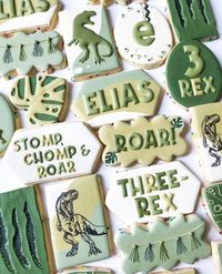 Julissa & Co. on Instagram: "Stomp, CHOMP, and roaaaaaaar! Who knew I made boy cookies, too?! 🤪 These might be my favorite. Happy Birthday to this 3-Rex!!"