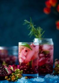 Pomegranate Gin and Tonic.