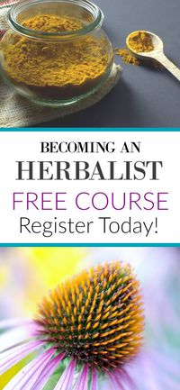 Learn all about the basics of how to use herbs and herbalism with this FREE Becoming an Herbalist Mini-Course. Register for FREE through this link! {affiliate}