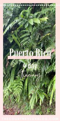 Puerto Rico is a part of the U.S that feels like an entirely different world. During my trip to the Island, I experienced a lot of what PR had to offer, and let me tell you…I was truly impressed! Ready to get the most out of Puerto Rico but not sure where to start? No worries! I’ve got all the highlights you need in this 4 day Puerto Rico Itinerary. #puertoricovacation #puertorico #beach #travel