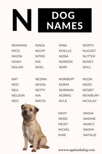 SAVE THIS LIST FOR LATER ❤️ Going to want it for when you adopt a new puppy and need help finding a N dog name.