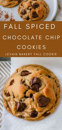 Soft, chewy Fall cookie with dark brown sugar, molasses, cinnamon, ginger, cloves, nutmeg, and chocolate chips for the perfect Autumn cookie. This is the perfect Fall spiced chocolate chip cookie recipe!