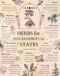 🌸Mucuna: Ignite your third eye + elevate awareness.  🌸Bobinsana: Embrace the healing embrace of this Amazonian “sirenita” (mermaid) + heart wound soother.  🌸Cacao: Connect with community + joy, self-love + ancient wisdom.  🌸Kava Kava: Unwind, dissolve barriers + foster spiritual connections.  🌸Kalea Zacatechichi: Oaxacan dream herb to help unlock the secrets of the subconscious.  Keep reading below