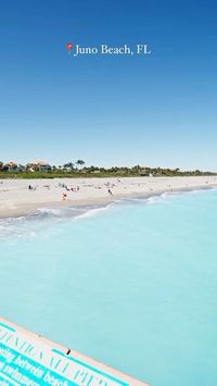 The Palm Beaches on Instagram: "Bluest Water in South Florida💧The water conditions at Juno Beach have been incredible lately 🌴 Cheers to more sunny days and “winter blues” ☀️😎 #ThePalmBeaches 📍Juno Beach, Florida 🎥 @yourdailynaturefix"