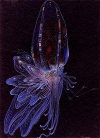 Moebius - Alien Concepts For Abyss 5 by Aeron Alfrey, via Flickr