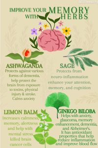 Tired of brain fog? A healthy brain contributes to a higher quality of life. Healthy brain function supports social skills, empathy, and effective communication, creativity, solve problems and adapt to changing circumstances. These herbs are like gold for brain health! Start using it for your highest good and your life will definitely get better.