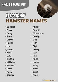 Find a variety of dwarf hamster names that suit the playful and unique personalities of dwarf hamsters. From classic to quirky, we've got you covered!