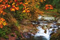 7 Beautiful Places for Fall Foliage That Aren’t in New England - The New York Times