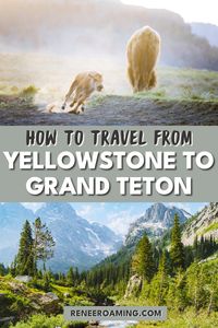 Take a road trip from Yellowstone National Park to Grand Teton National Park. This travel guide has you covered on all of the details, road trip itinerary, hiking trails, photo spots, and so much more.