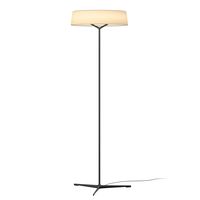 SUMMARY   Bring the stars indoors with the Nemol-Floor-Lamp, combining traditional charm and modern lighting design. Its ultra-thin cables are barely visible, giving off an ethereal quality as its graceful silhouette hovers overhead. Illuminate your home with celestial beauty!   Note: * Our default light source is warm light (3000K), if you need other color temperatures, please contact us.   For the same series of products >>>     STANDARD SIZE (PICTURED)     Size: Dia 49.5cm x H 140cm