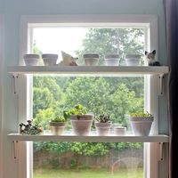 My husband and I wanted to take advantage of the massive amounts of light pouring through our sunroom windows, so we decided to build these plant shelves to han…