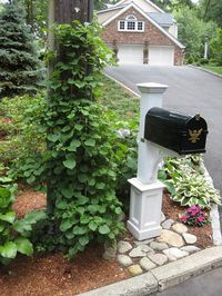 Inspiring Best 10+ Gorgeous Mail Box Landscaping Ideas https://wahyuputra.com/garden-exterior/best-10-gorgeous-mail-box-landscaping-ideas-5478/