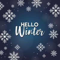 hello winter,hello,december,winter,christmas,holidays,snowflakes,snow,night,cold,event,new yearvector,graphics