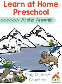 Free Arctic Animals Preschool Lesson Plans - Stay At Home Educator