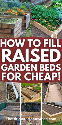 Wondering how to fill raised garden beds for cheap? I’ve got you covered with simple, affordable ways to fill raised garden beds using materials you may already have! Discover cheap garden bed filler ideas, learn how to layer raised garden beds effectively, and explore budget-friendly garden solutions. Plus, grab your free '101 Raised Garden Bed Ideas' for even more inspiration. Save money and grow a thriving garden!