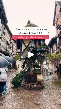 Marcus & Chelsey on Instagram: "Let’s be real, traveling through Alsace without a car isn’t a walk in the park. While driving is definitely the easiest way to see everything, it’s not for everyone. If you’d rather skip the rental, we took on the region by train and bus and here’s how you can do the same!

Days 1-3 - Strasbourg
We started with Strasbourg as our home base (highly recommend!) because it’s well-connected by trains to the rest of the towns. You could easily spend 3 days here just because it’s the capital of Alsace with plenty of things to see.

Day 4- Colmar & Eguisheim
We hopped on a train to Colmar and took the Christmas shuttle to Eguisheim. Both really stunning Alsatian towns but the shuttle was frankly a bit of a nightmare with long lines and infrequent bus timings. Sadly,