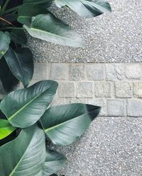 Eco Outdoor on Instagram: “Our Endicott® cobblestones provide a warm grey colour palette in a traditional European style cobblestone. It is incredibly dense, while…”