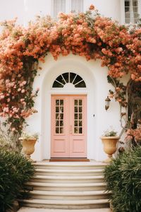 30+ Front Door Color Ideas for a White House