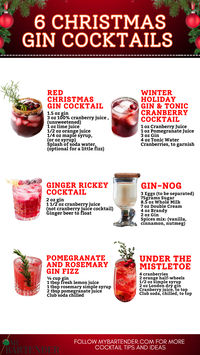 Add a festive twist to your holiday gatherings with Christmas gin cocktails! These seasonal sips bring together the botanical notes of gin with cozy flavors like cranberry, rosemary, and citrus. Perfect for holiday parties or quiet nights in, these Christmas gin cocktails will bring a touch of elegance and cheer to your celebrations! #christmasgincocktails