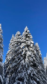 aesthetic w friends ski mountains , white, french alps, clouds, ski jacket, 