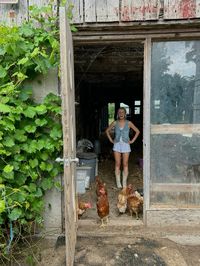 #fresheggs #farmfresheggs #denimvest #cowgirlboots #cowgirl #country #countryaesthetic #slowliving #chickencoop #chickens #freerange #freerangeeggs #cowgirl #barn #barnaesthetic #countryliving #mileystewartsummer #denim #hay #rooster #countryphotos #easyliving #simplelife #browneggs #localeggs #local