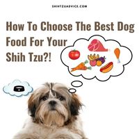 How To Choose The Best Dog Food For Your Shih Tzu?