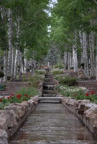 Glorieta, New Mexico - Prayer Garden