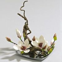 magnolia tulip ichibana flower arrangement - Yahoo Image Search Results