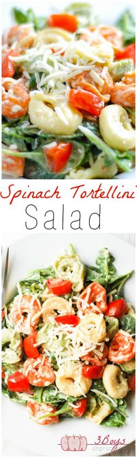 Spinach and Tortellini Salad: The perfect balance of yummy + healthy. Complete with a delicious and easy homemade dressing that comes together in minutes! || www.3boysunprocessed.com