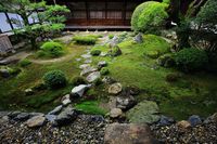 三宝院 庭園　美しく力強い桃山時代の庭園 | 京都もよう　KYOTO MOYOU