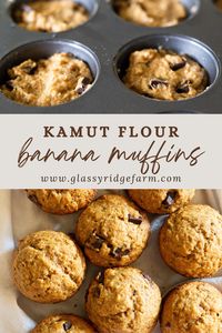 Made with Kamut Flour, these buttery banana muffins are a delicious way to incorporate ancient grains into your breakfast routine!