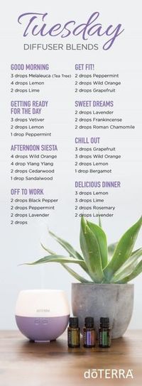 doTERRA essential oil diffuser blends for Tuesdays! | doTERRA essential oils