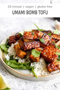 20 minute Umami Bomb Tofu is an explosion of savory flavor! It is a super savory combo of seared tofu tossed in a sauce with gluten free tamari, maple syrup, garlic and creamy dijon mustard. Perfect in rice bowls, salads, wraps, lettuce cups, and tacos! #vegan #tofu #glutenfree #healthy #grainfree | DarnGoodVeggies.com