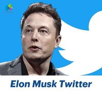 El multimillonario Elon Musk adquirió la red social Twitter por unos 44.000 millones de dólares, el pasado 25 de abril de 2022. Con su compra prometió un control más flexible del contenido en la plataforma, donde defiende sus intereses, ataca críticos y opina sobre cuestiones sociales y económicas a sus más de 83 millones de seguidores. ¿Cómo sucedió la compra de Twitter?