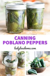 Canning poblano peppers is a great way to preserve them. These flavorful peppers can be added to many dishes so it’s great to have them canned and ready to go. Learn how to can poblano peppers for long-term storage.